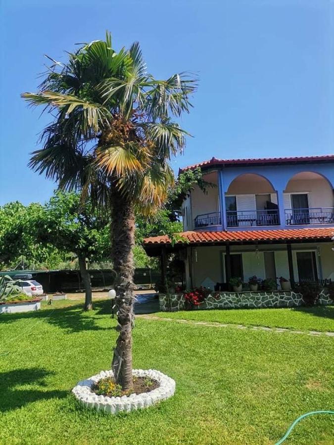 Katia Studios Sykia Chalkidikis Ngoại thất bức ảnh