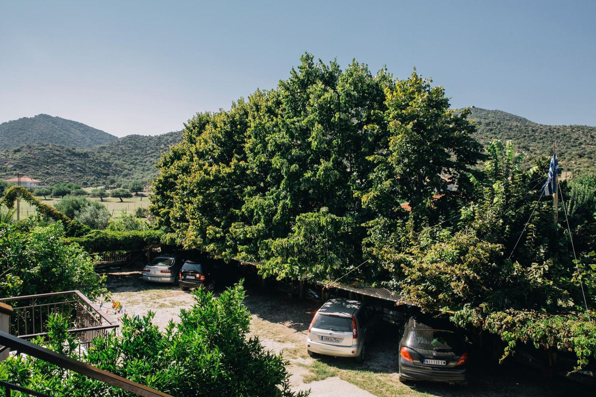 Katia Studios Sykia Chalkidikis Ngoại thất bức ảnh