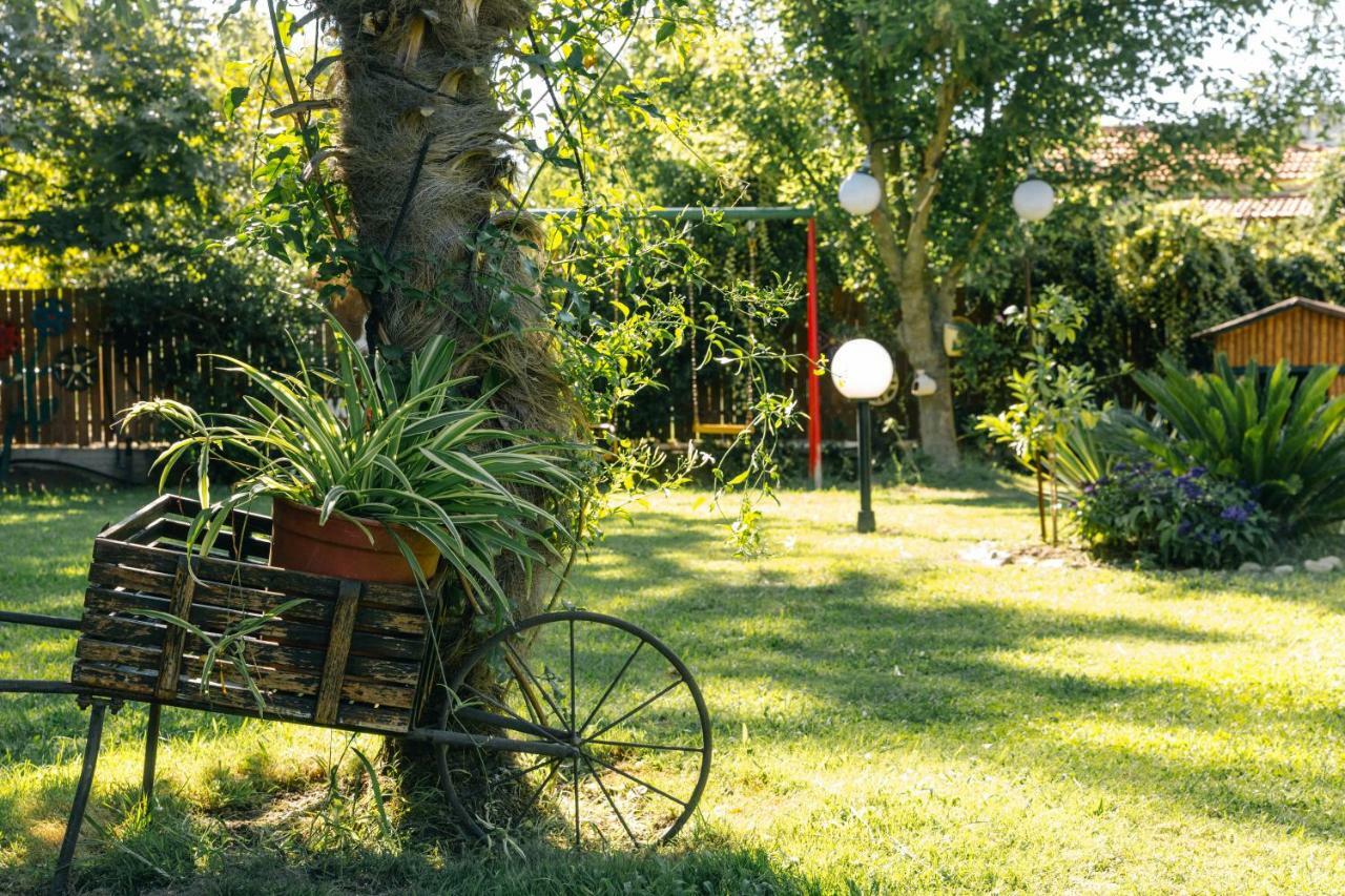Katia Studios Sykia Chalkidikis Ngoại thất bức ảnh